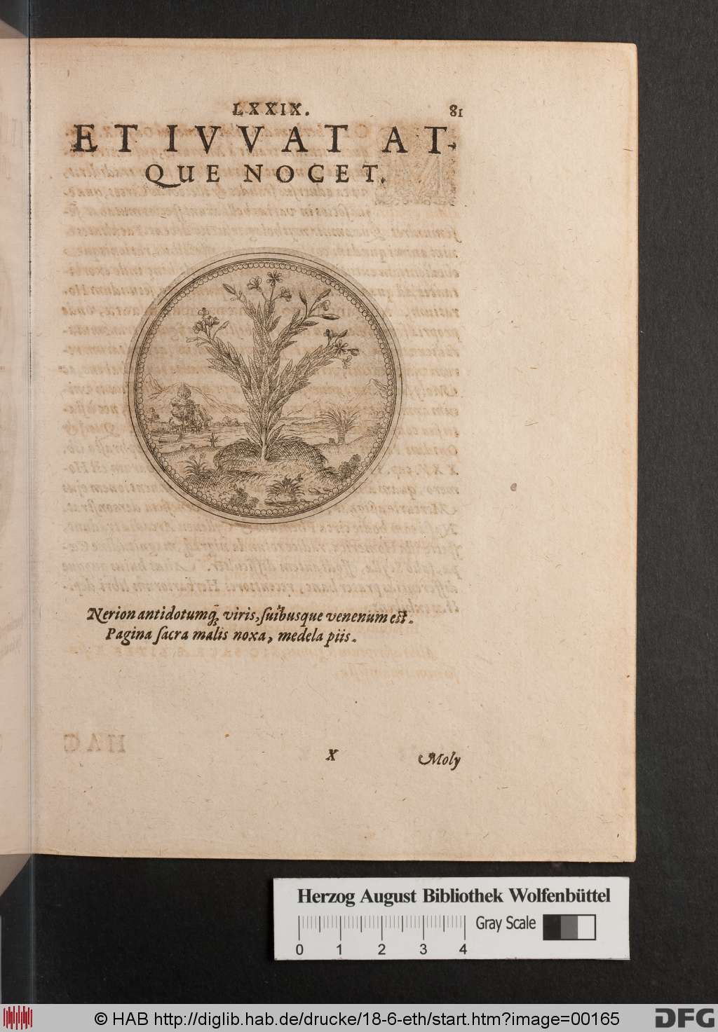 http://diglib.hab.de/drucke/18-6-eth/00165.jpg