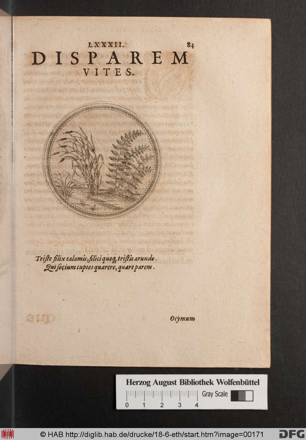 http://diglib.hab.de/drucke/18-6-eth/00171.jpg