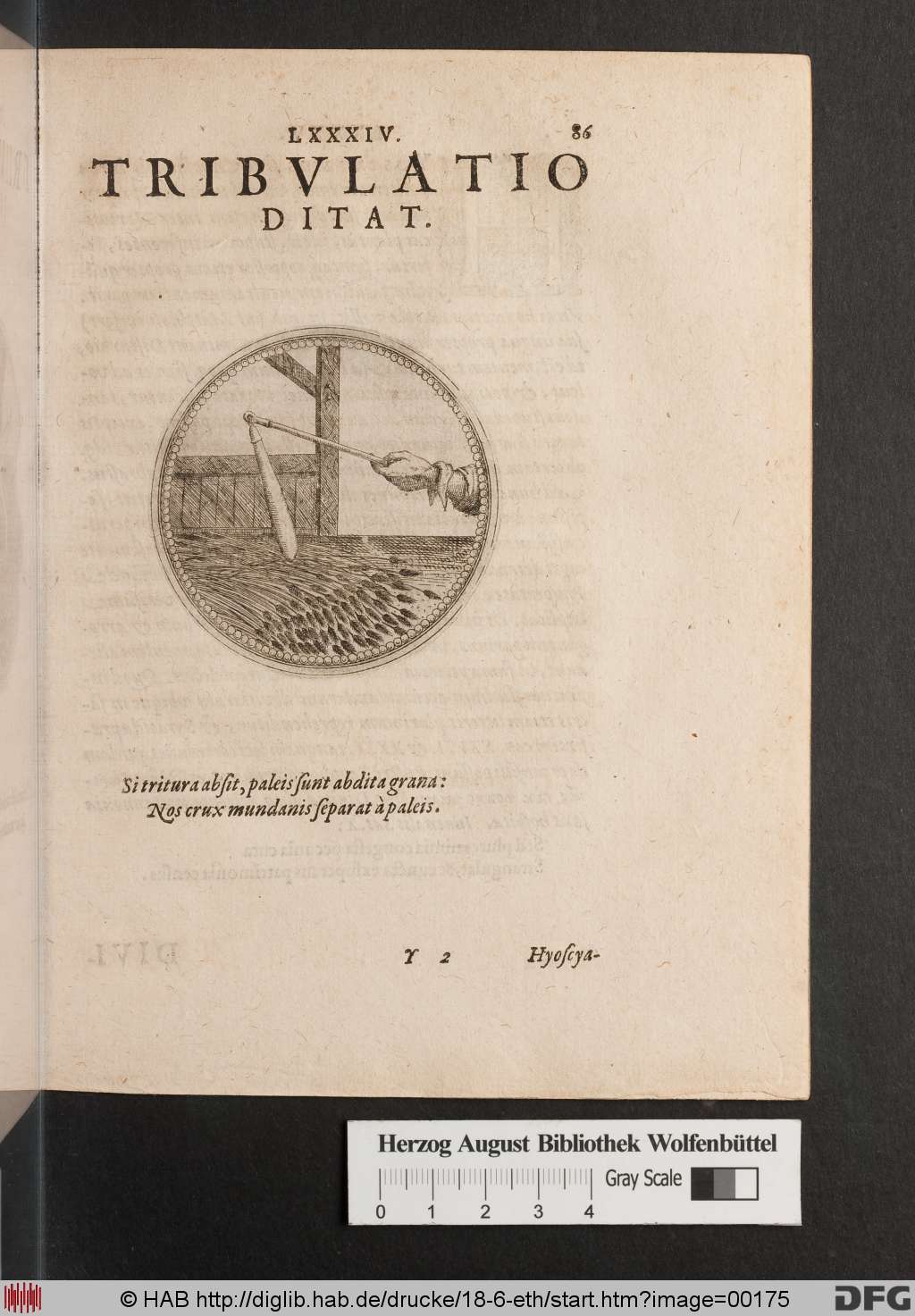http://diglib.hab.de/drucke/18-6-eth/00175.jpg