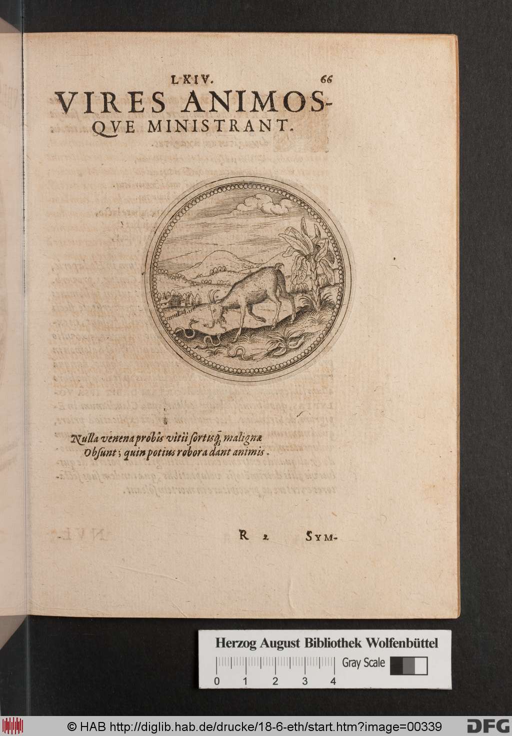 http://diglib.hab.de/drucke/18-6-eth/00339.jpg