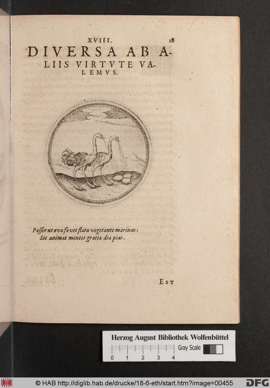 http://diglib.hab.de/drucke/18-6-eth/00455.jpg