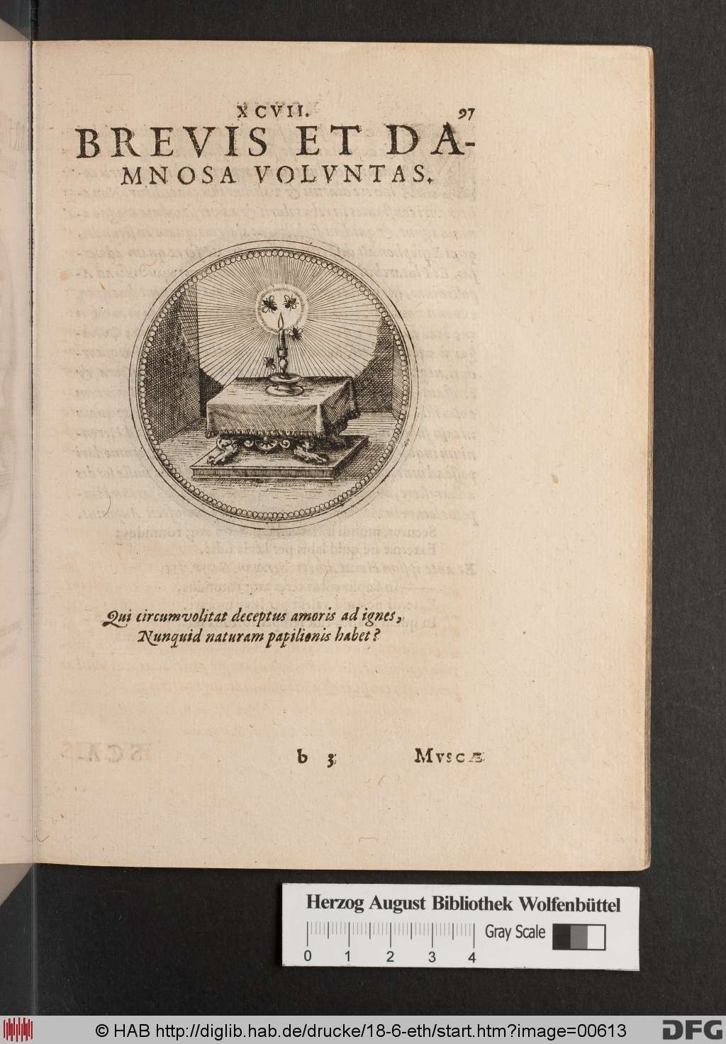 http://diglib.hab.de/drucke/18-6-eth/00613.jpg