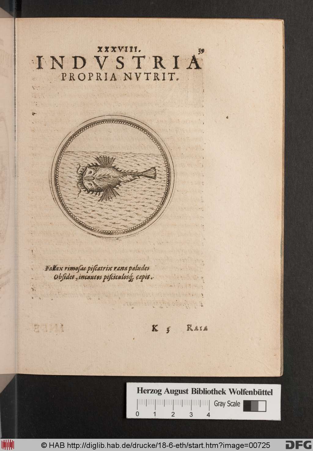 http://diglib.hab.de/drucke/18-6-eth/00725.jpg