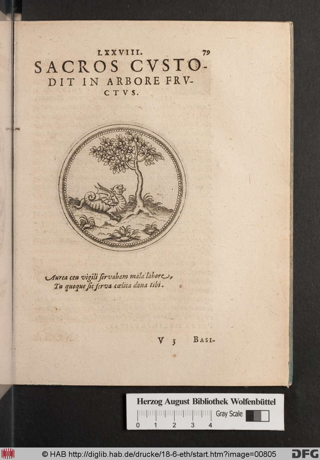 http://diglib.hab.de/drucke/18-6-eth/00805.jpg