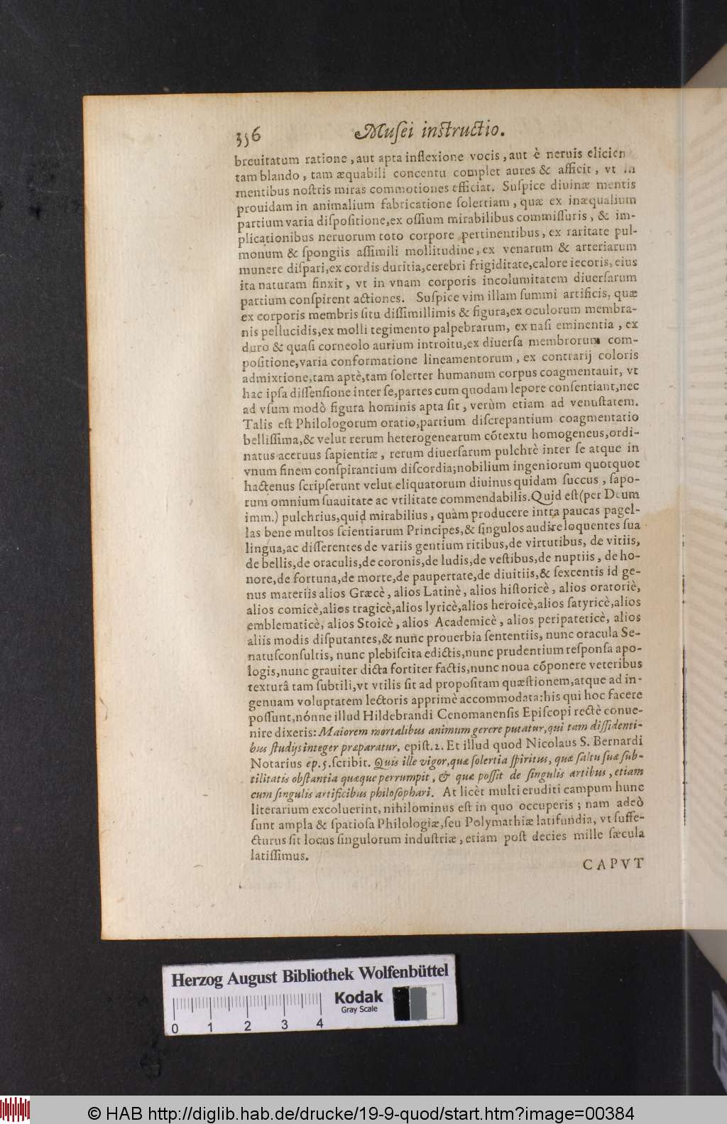 http://diglib.hab.de/drucke/19-9-quod/00384.jpg