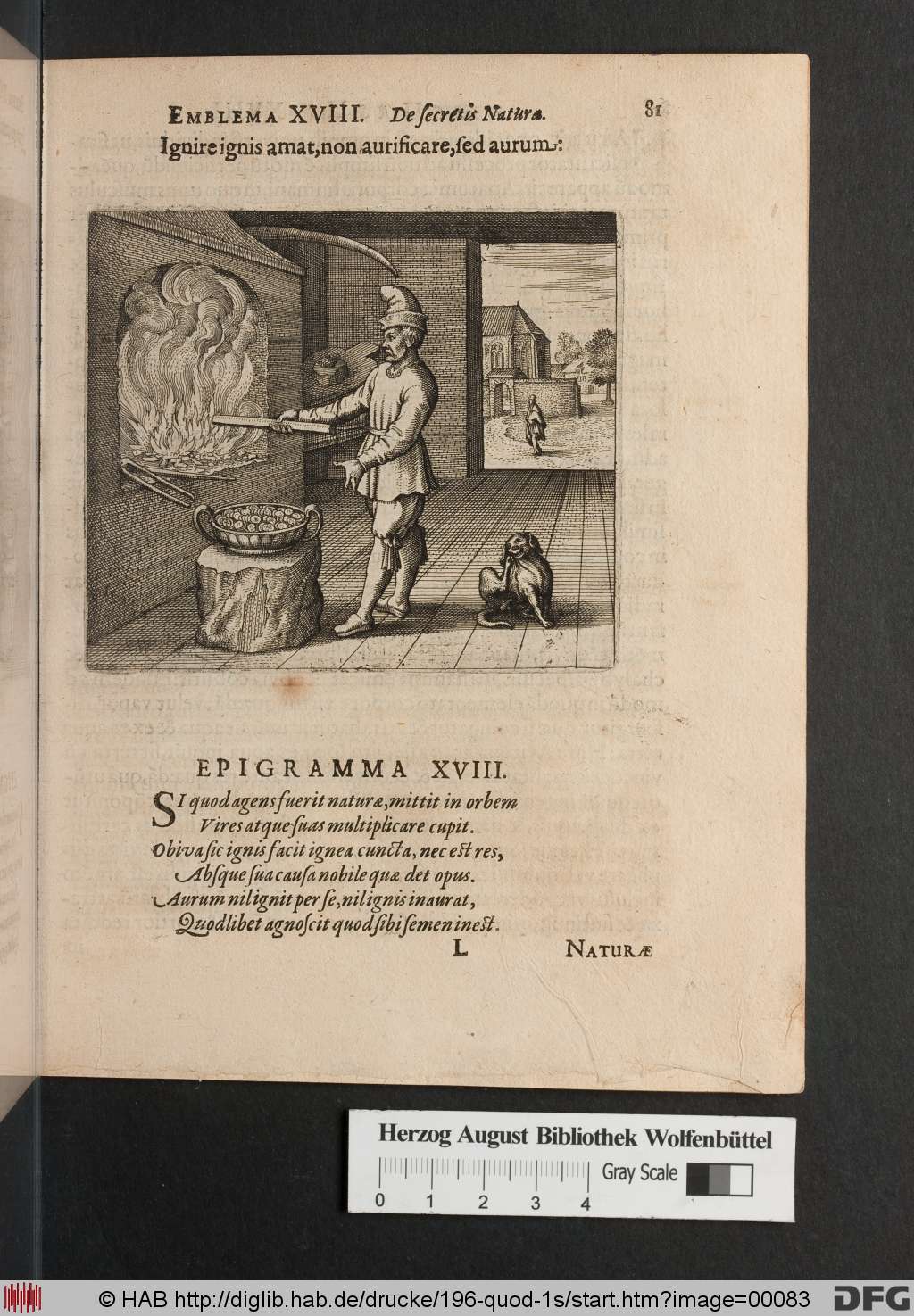 http://diglib.hab.de/drucke/196-quod-1s/00083.jpg
