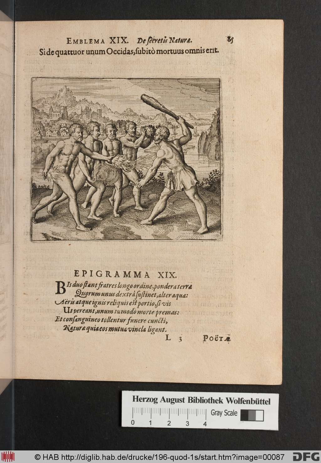 http://diglib.hab.de/drucke/196-quod-1s/00087.jpg