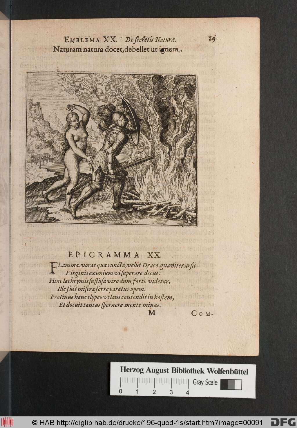 http://diglib.hab.de/drucke/196-quod-1s/00091.jpg
