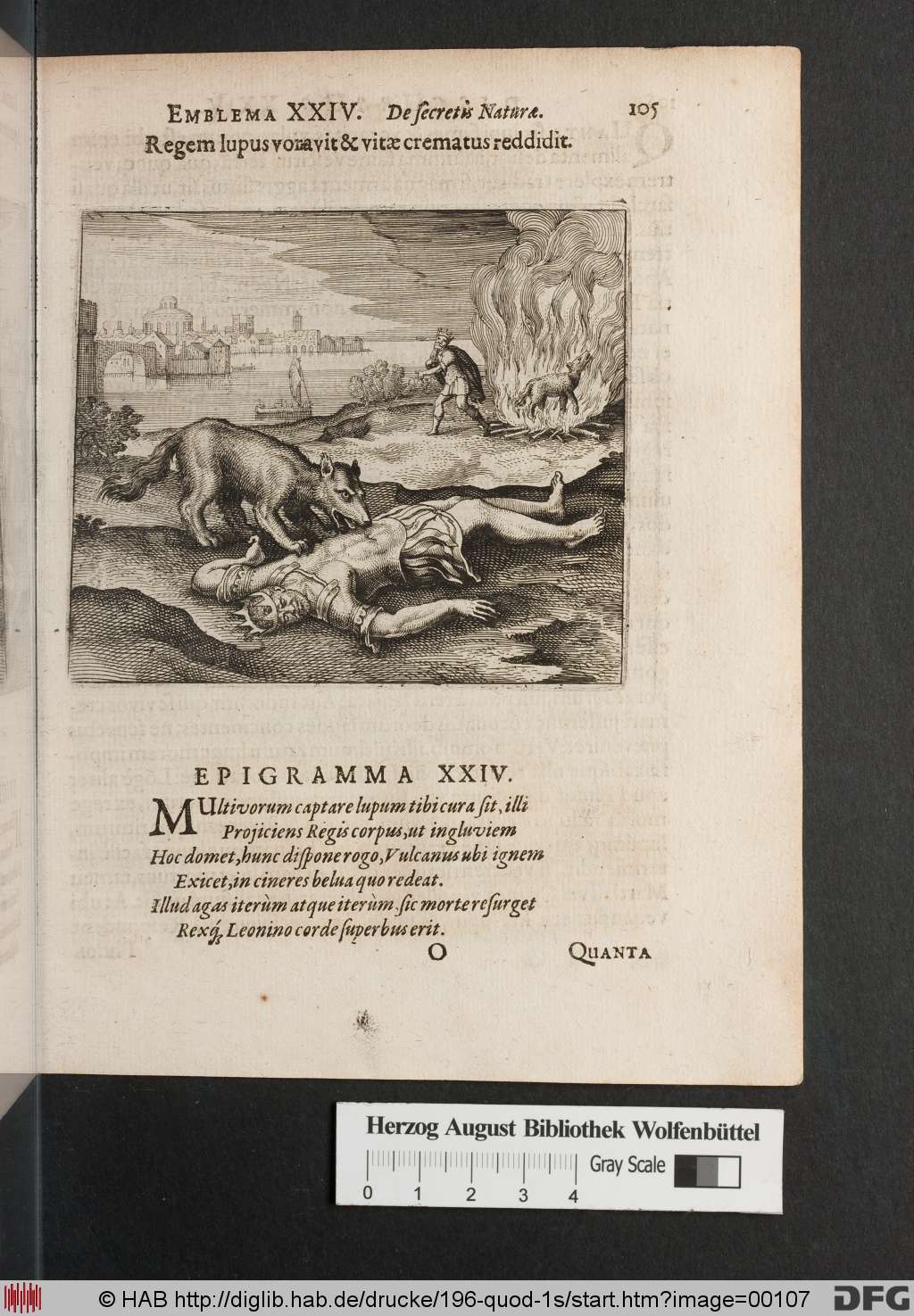 http://diglib.hab.de/drucke/196-quod-1s/00107.jpg
