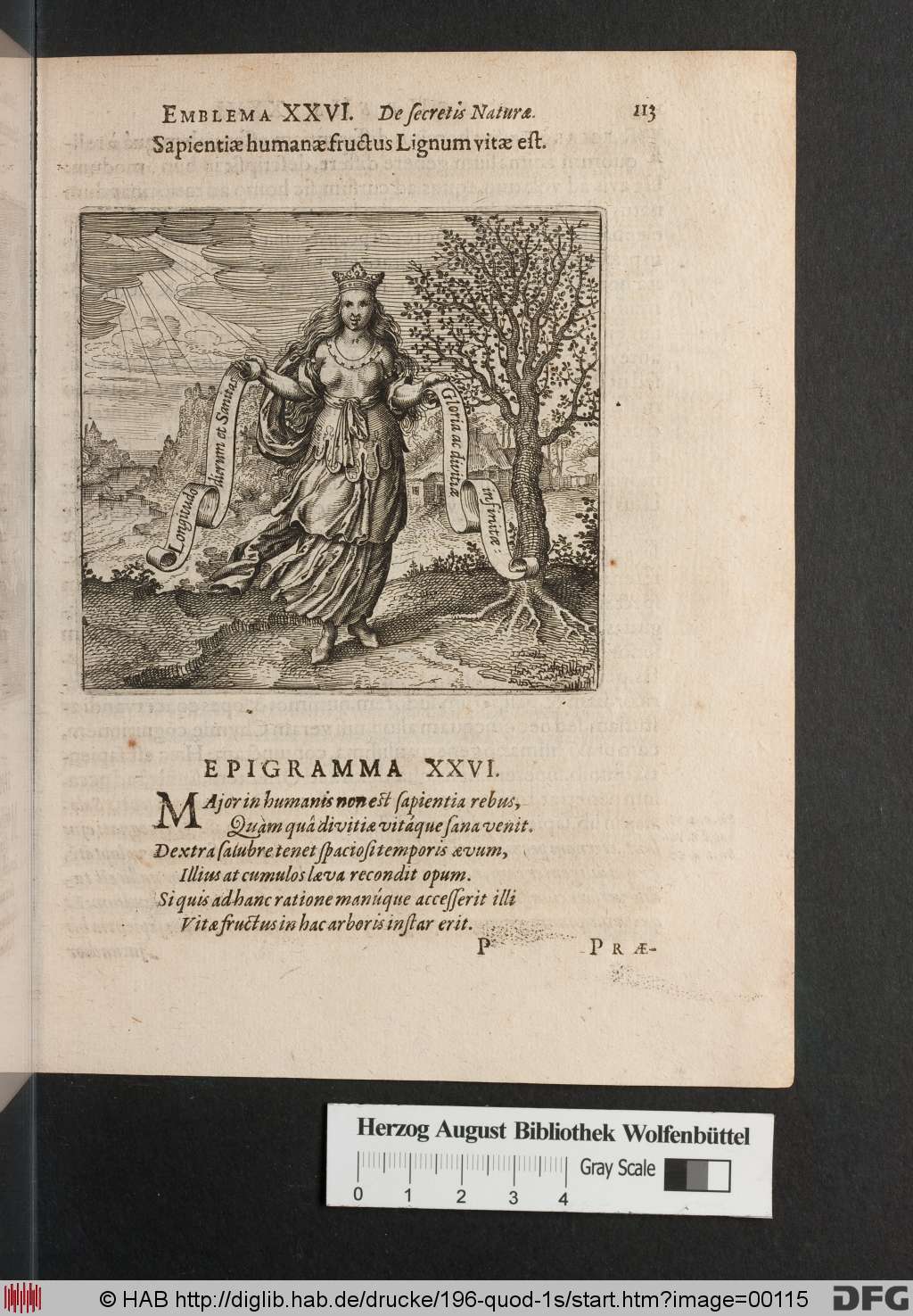 http://diglib.hab.de/drucke/196-quod-1s/00115.jpg