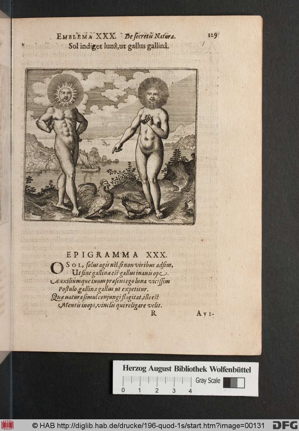 http://diglib.hab.de/drucke/196-quod-1s/00131.jpg