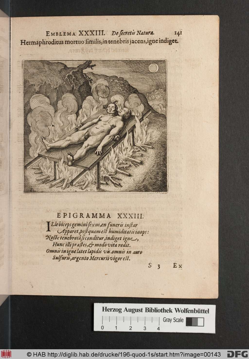 http://diglib.hab.de/drucke/196-quod-1s/00143.jpg