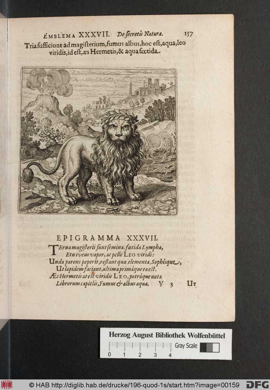 http://diglib.hab.de/drucke/196-quod-1s/00159.jpg