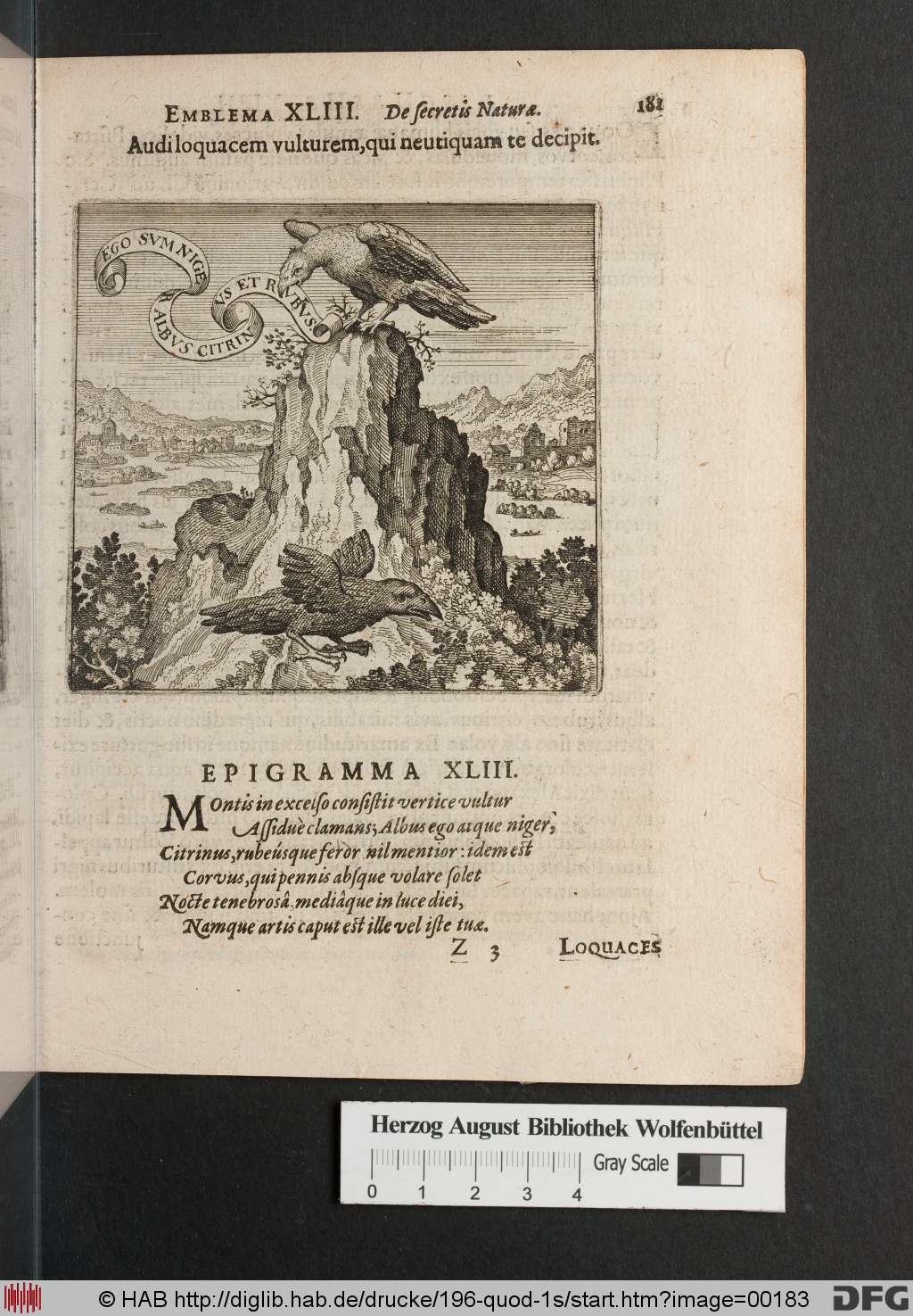 http://diglib.hab.de/drucke/196-quod-1s/00183.jpg