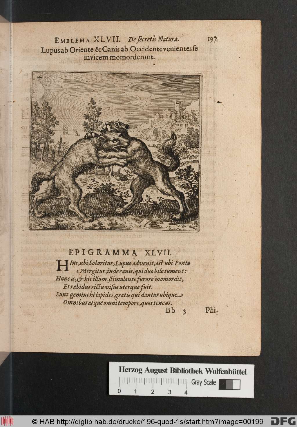 http://diglib.hab.de/drucke/196-quod-1s/00199.jpg