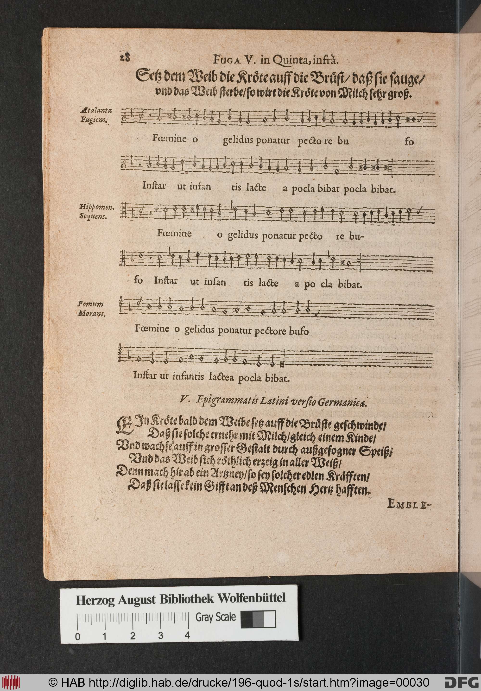 http://diglib.hab.de/drucke/196-quod-1s/max/00030.jpg