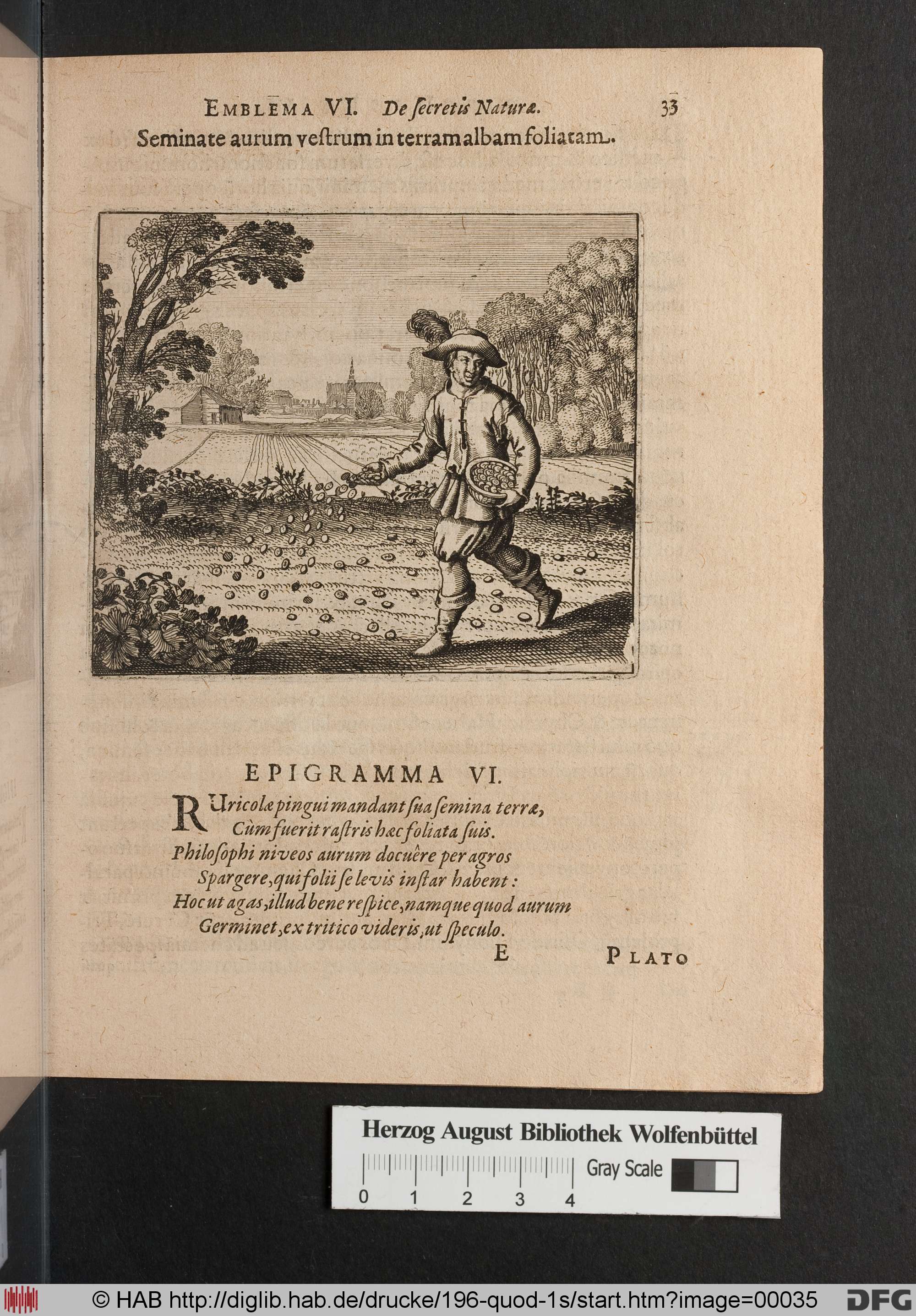 http://diglib.hab.de/drucke/196-quod-1s/max/00035.jpg