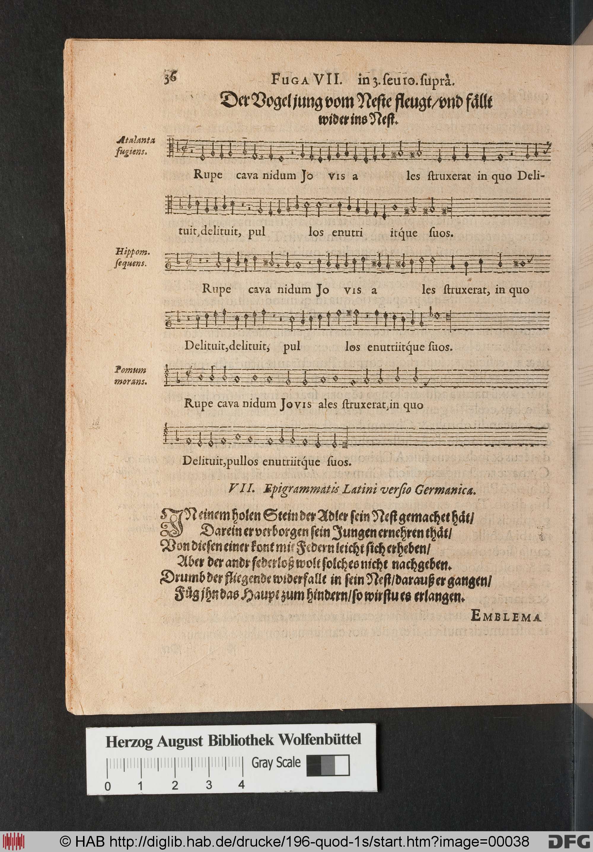 http://diglib.hab.de/drucke/196-quod-1s/max/00038.jpg
