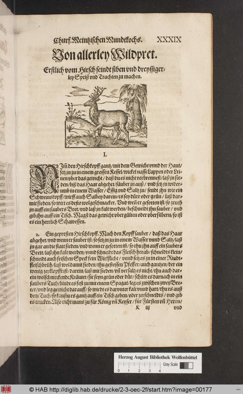 http://diglib.hab.de/drucke/2-3-oec-2f/00177.jpg