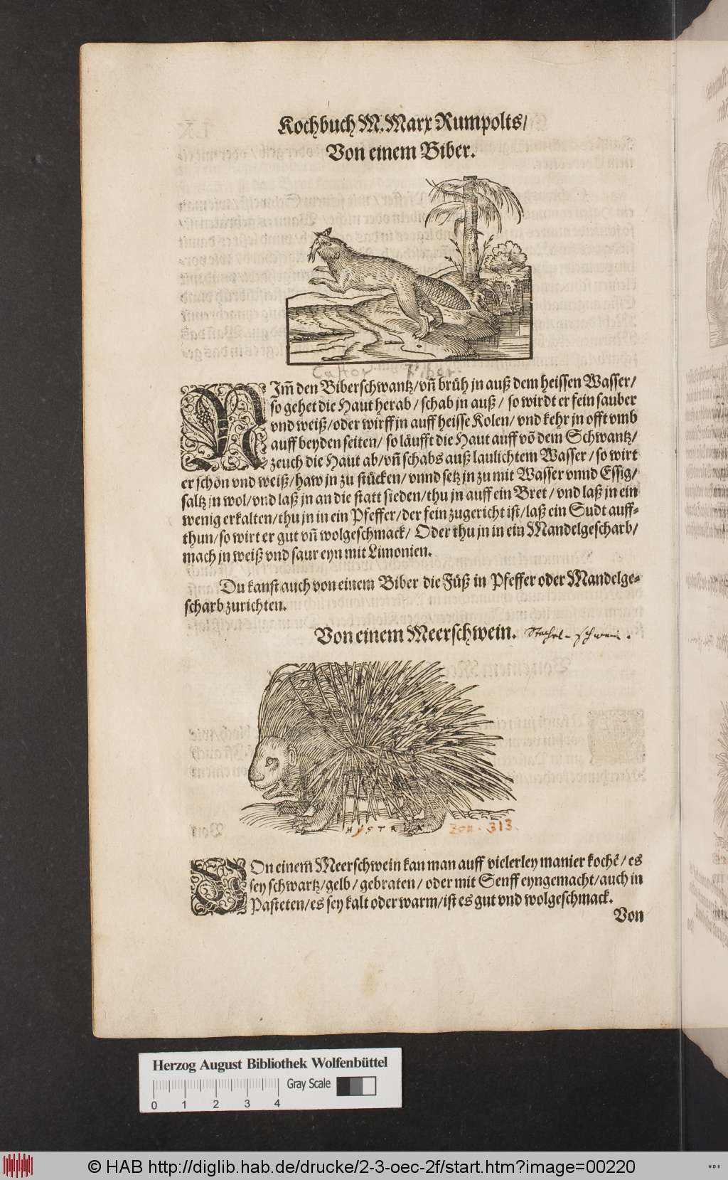 http://diglib.hab.de/drucke/2-3-oec-2f/00220.jpg
