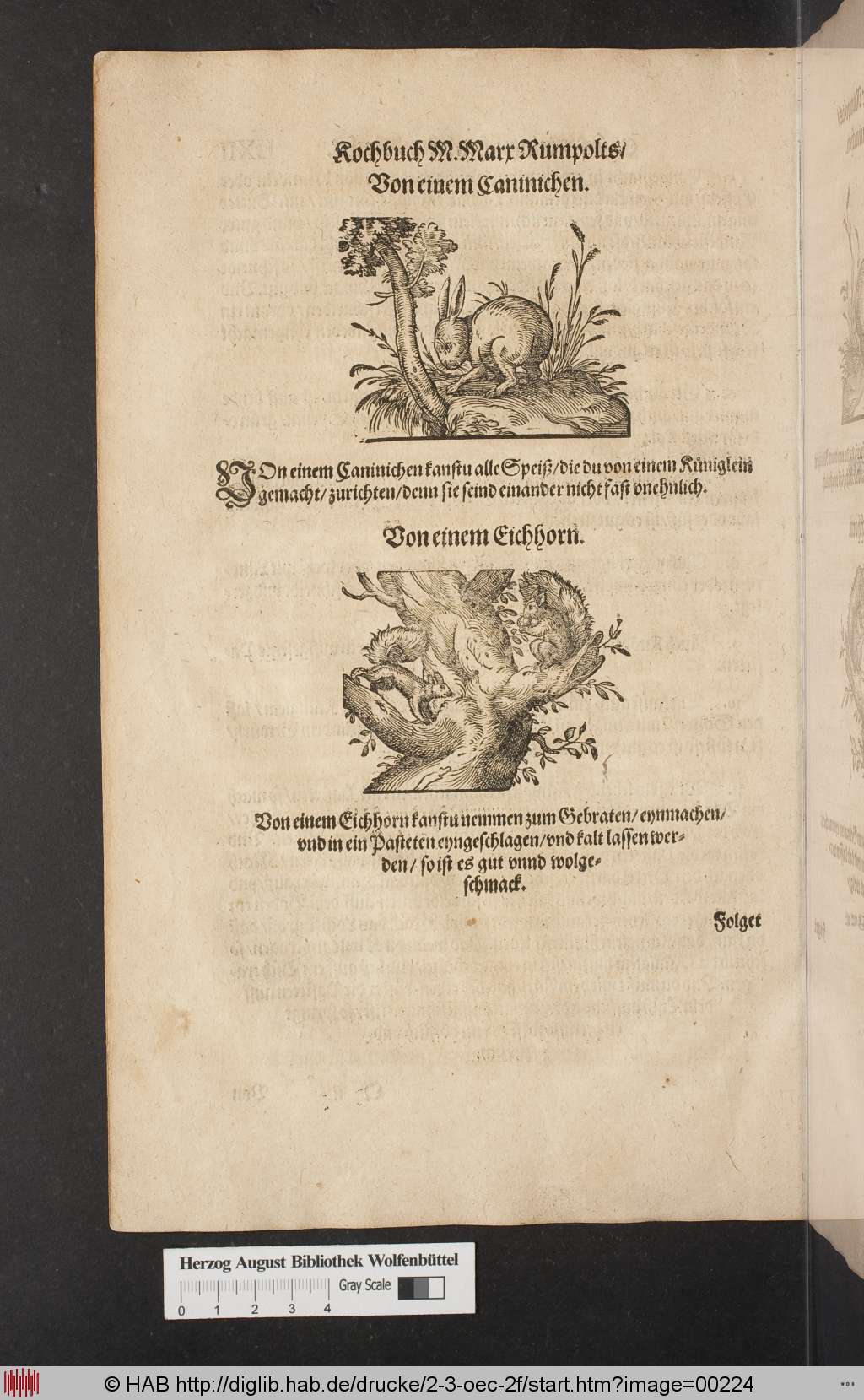 http://diglib.hab.de/drucke/2-3-oec-2f/00224.jpg