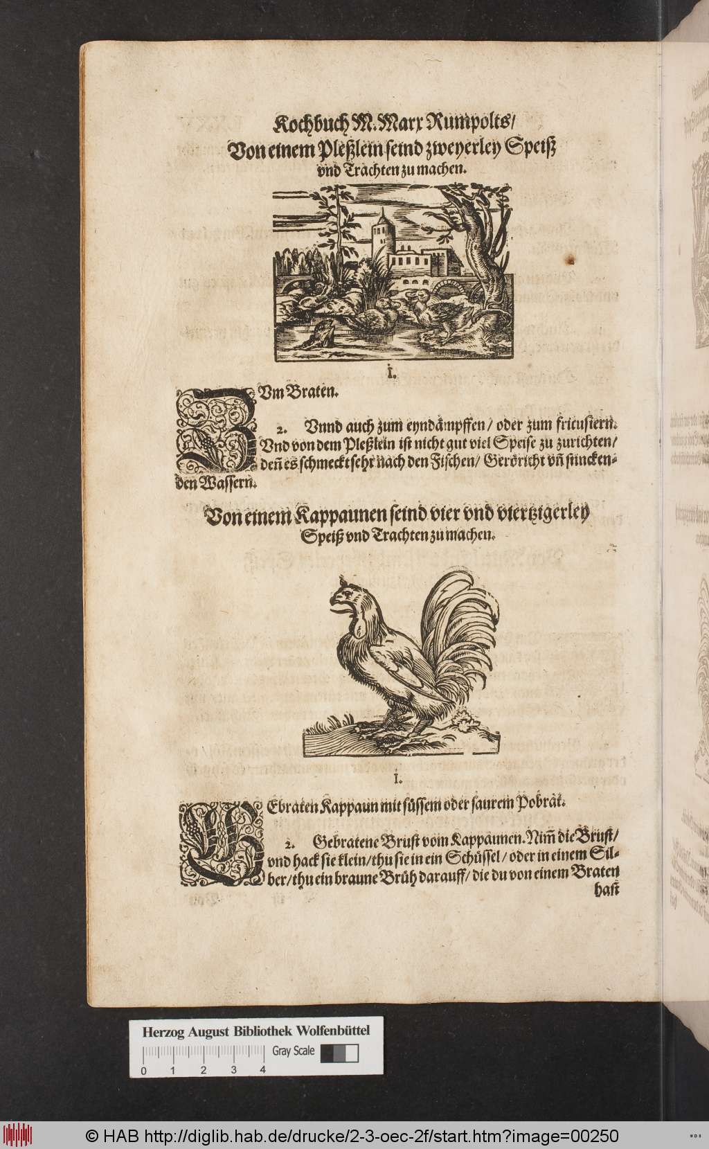 http://diglib.hab.de/drucke/2-3-oec-2f/00250.jpg