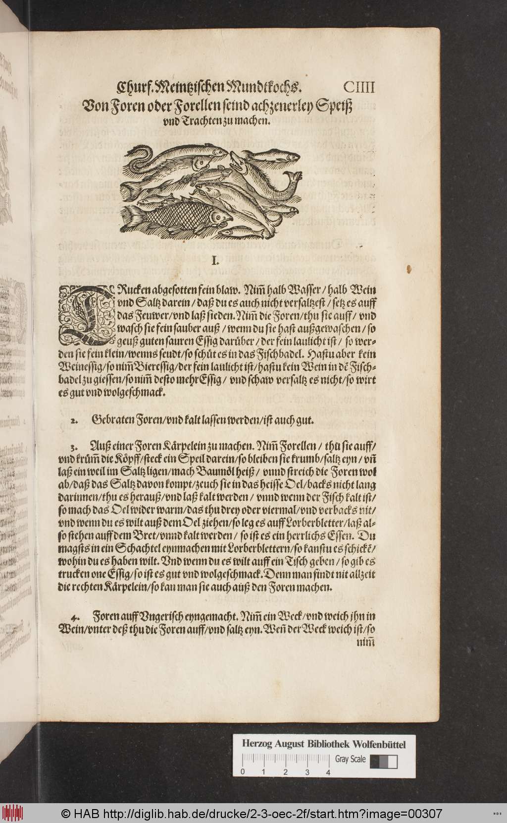 http://diglib.hab.de/drucke/2-3-oec-2f/00307.jpg