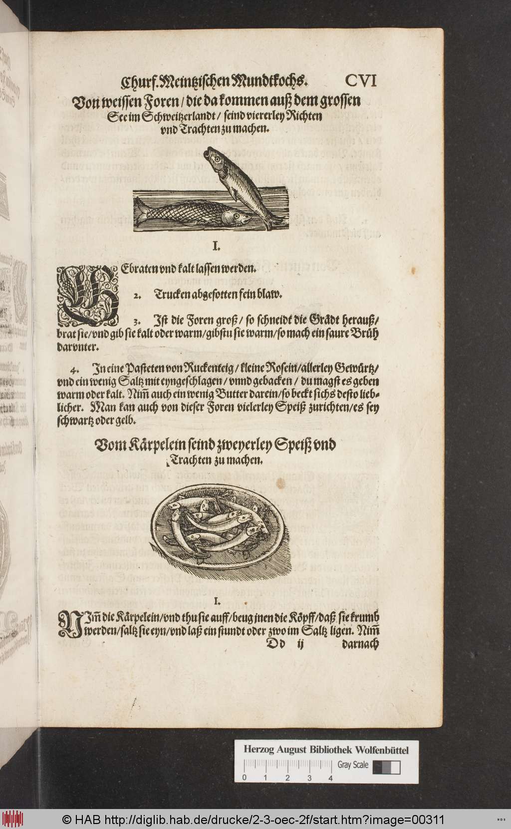 http://diglib.hab.de/drucke/2-3-oec-2f/00311.jpg