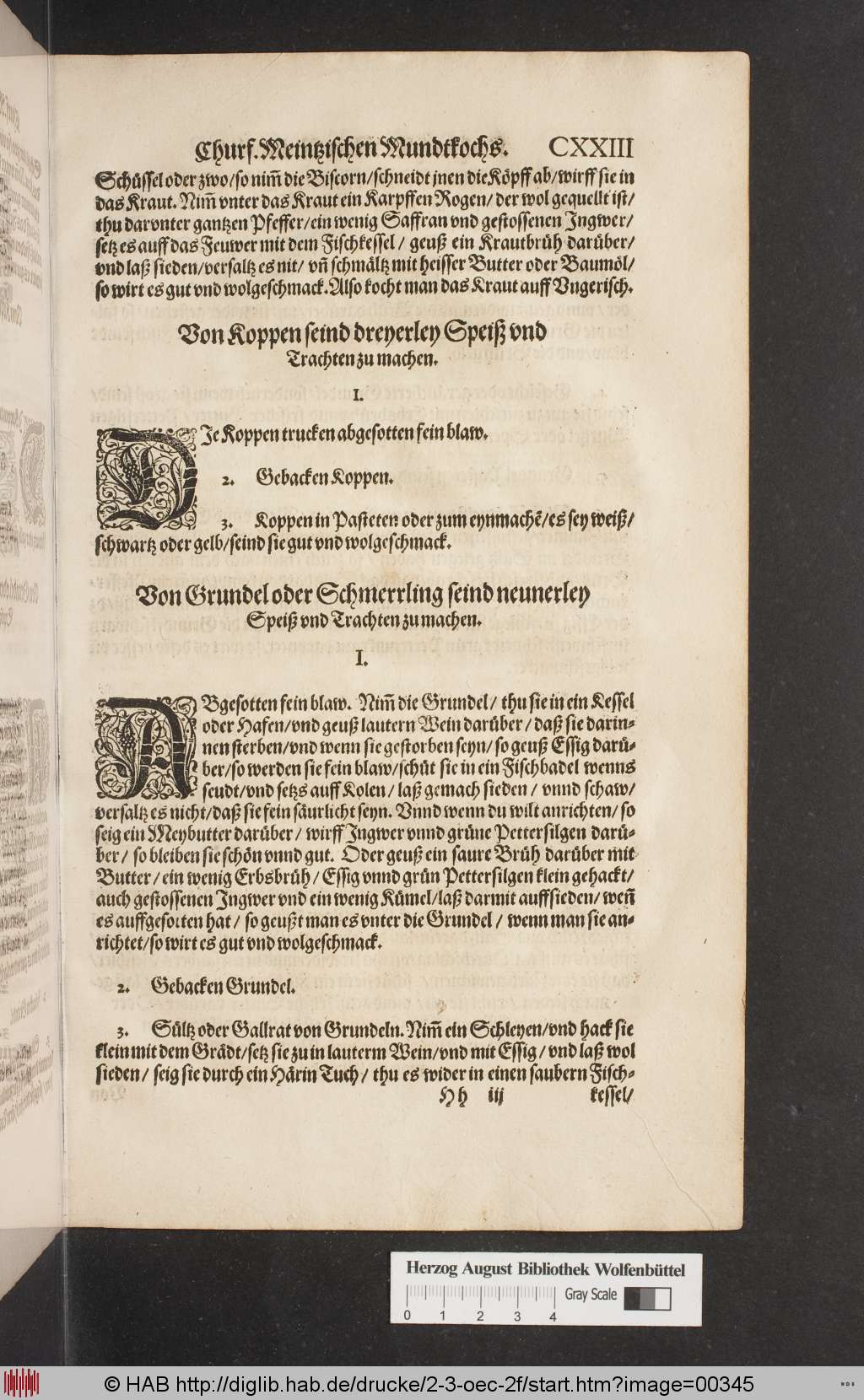 http://diglib.hab.de/drucke/2-3-oec-2f/00345.jpg