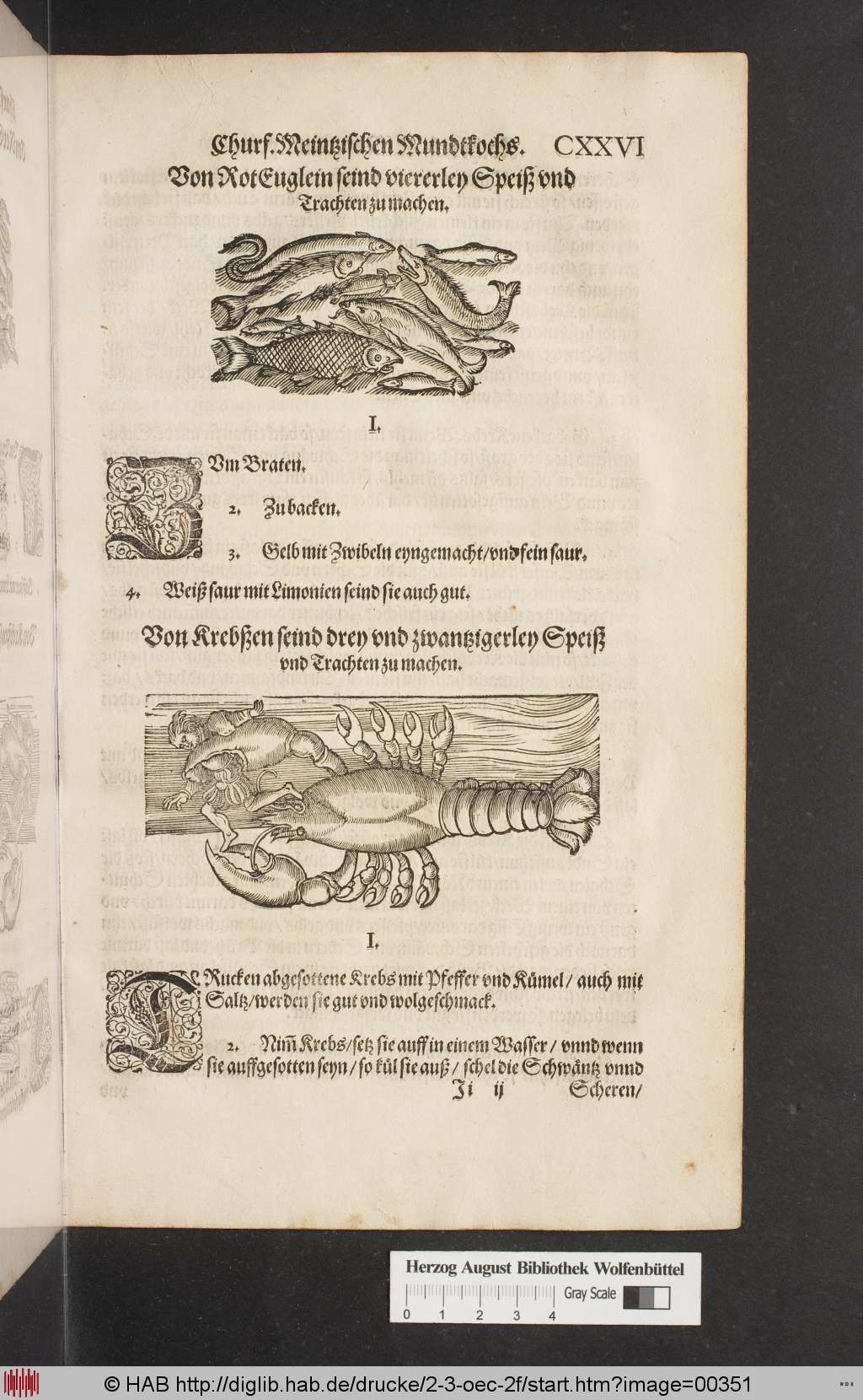 http://diglib.hab.de/drucke/2-3-oec-2f/00351.jpg