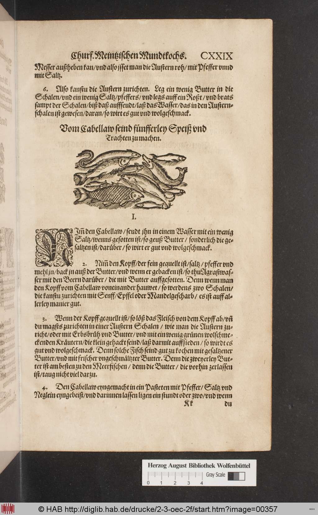 http://diglib.hab.de/drucke/2-3-oec-2f/00357.jpg