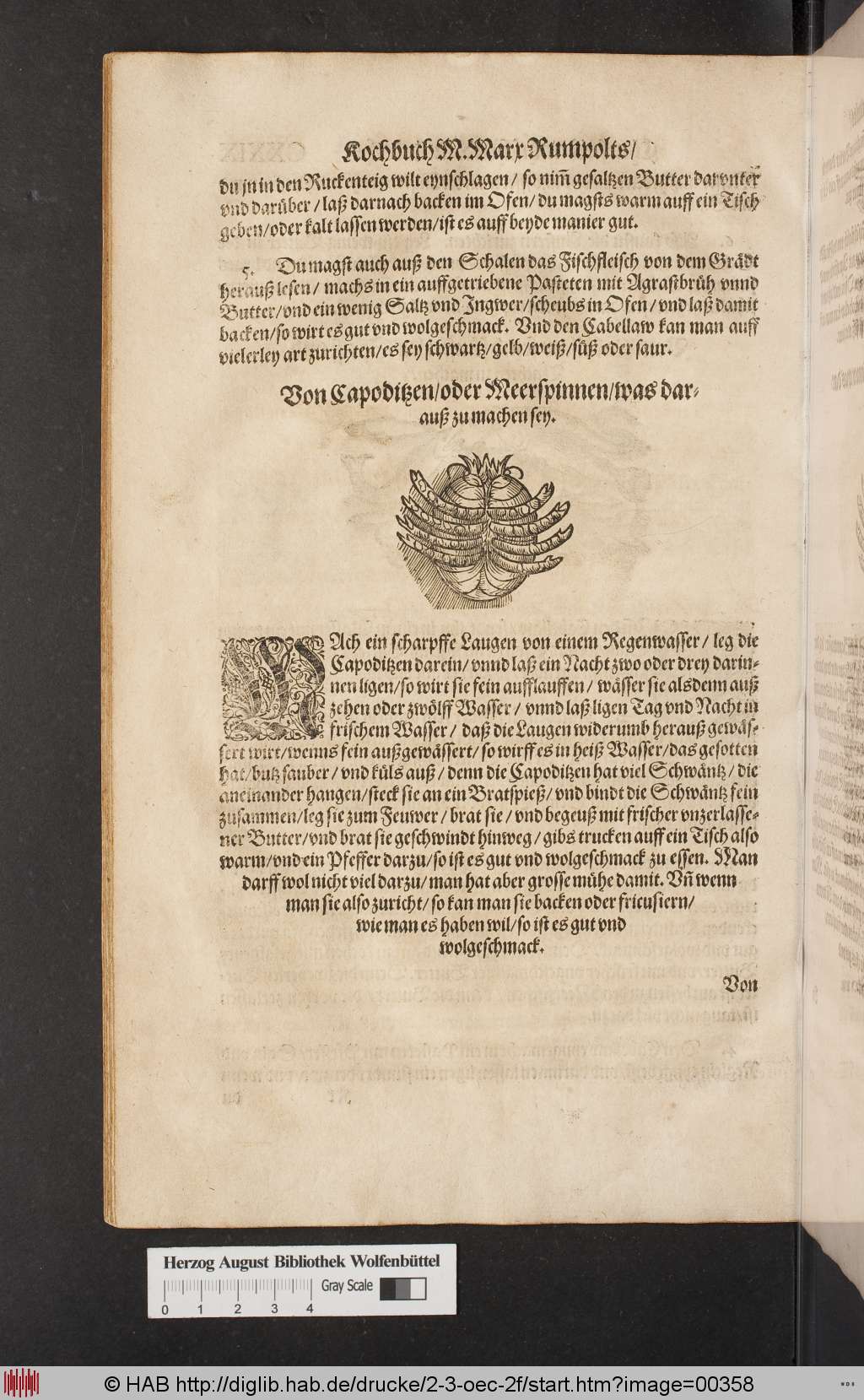 http://diglib.hab.de/drucke/2-3-oec-2f/00358.jpg