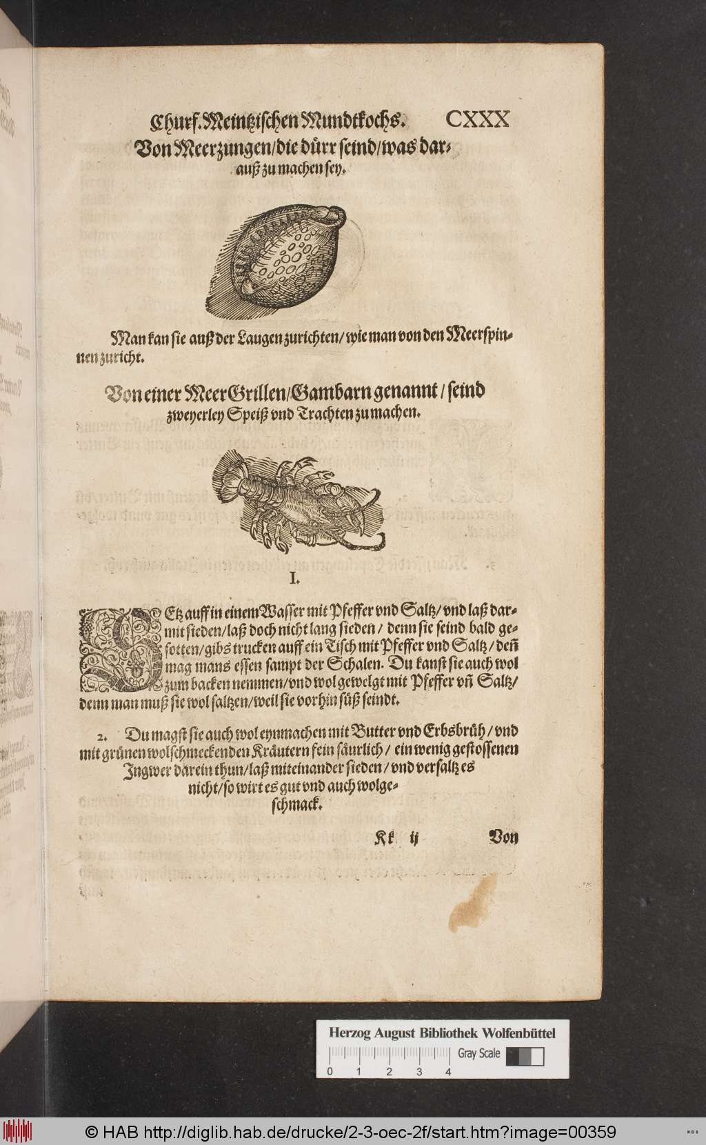 http://diglib.hab.de/drucke/2-3-oec-2f/00359.jpg