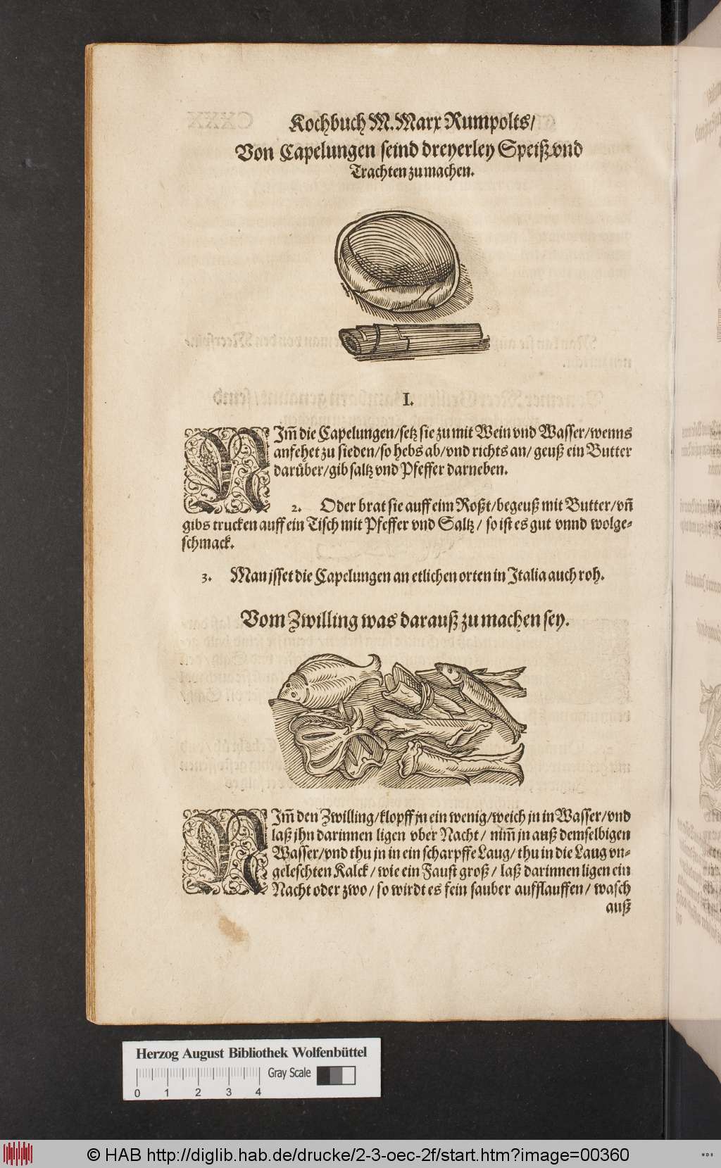 http://diglib.hab.de/drucke/2-3-oec-2f/00360.jpg