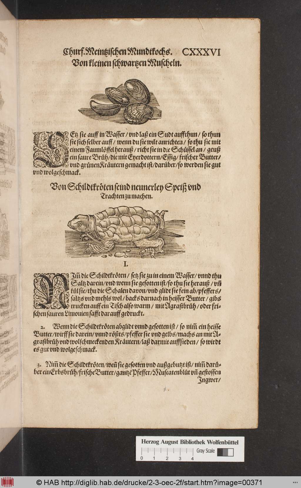 http://diglib.hab.de/drucke/2-3-oec-2f/00371.jpg