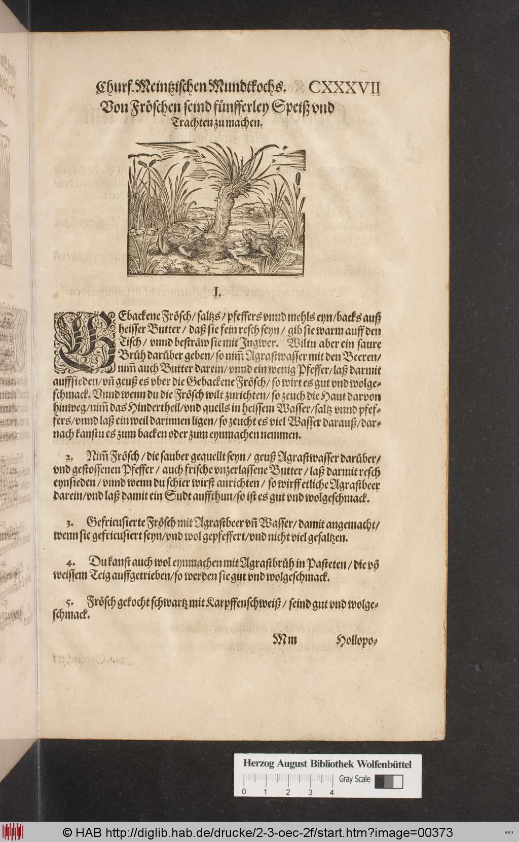 http://diglib.hab.de/drucke/2-3-oec-2f/00373.jpg