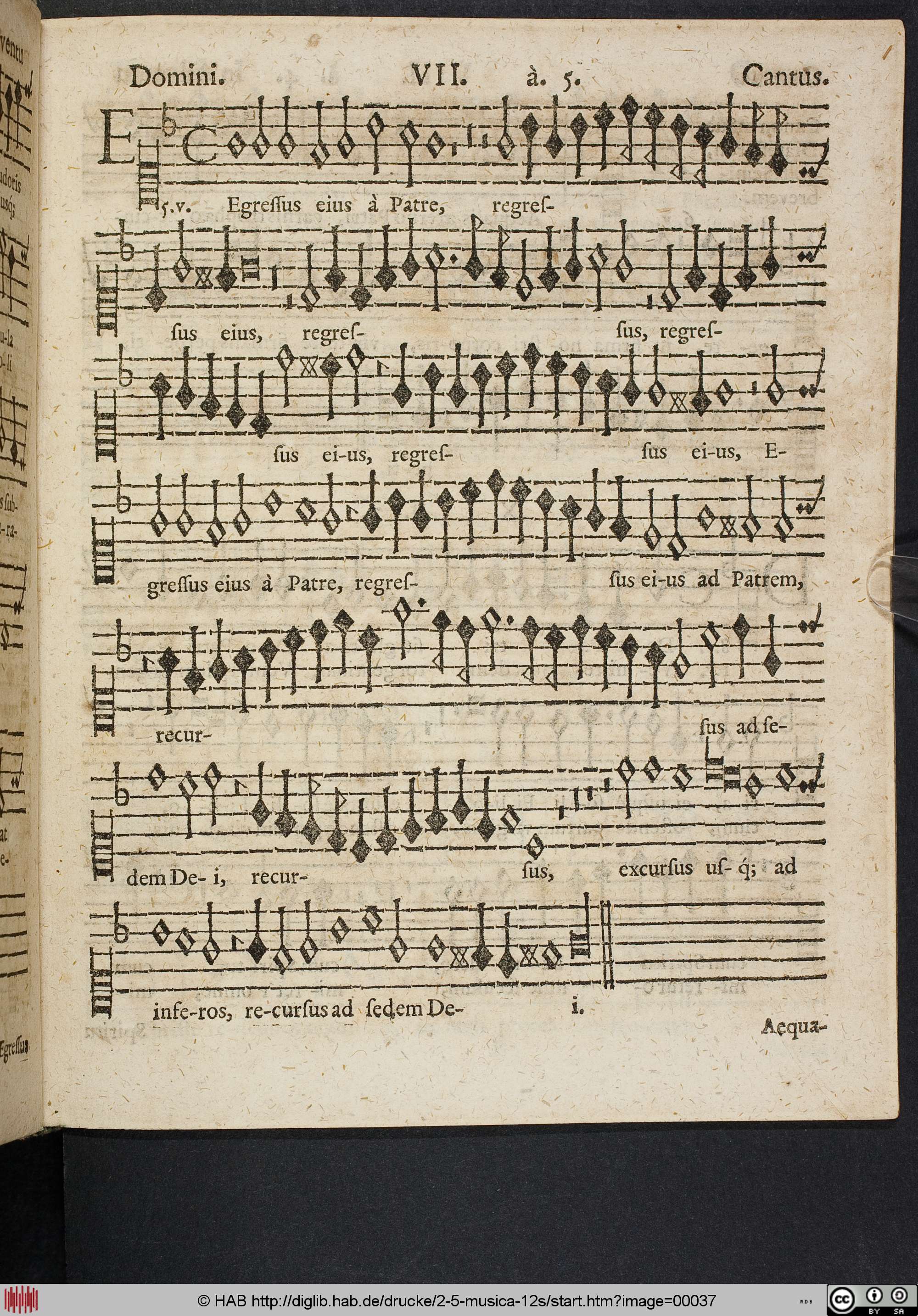 http://diglib.hab.de/drucke/2-5-musica-12s/max/00037.jpg