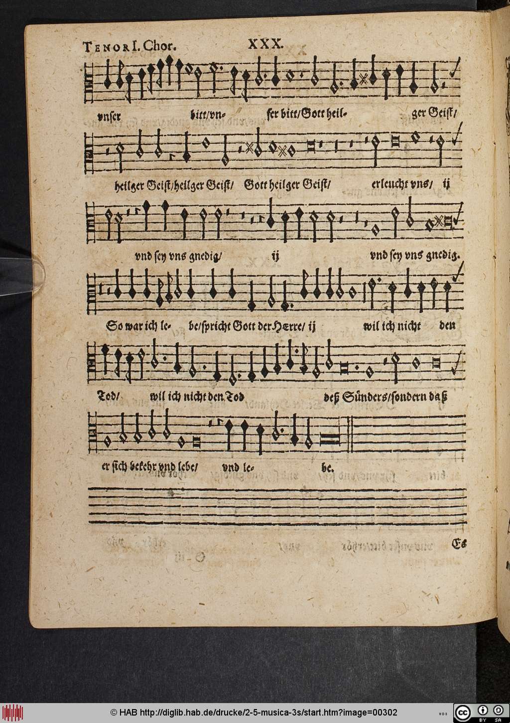 http://diglib.hab.de/drucke/2-5-musica-3s/00302.jpg