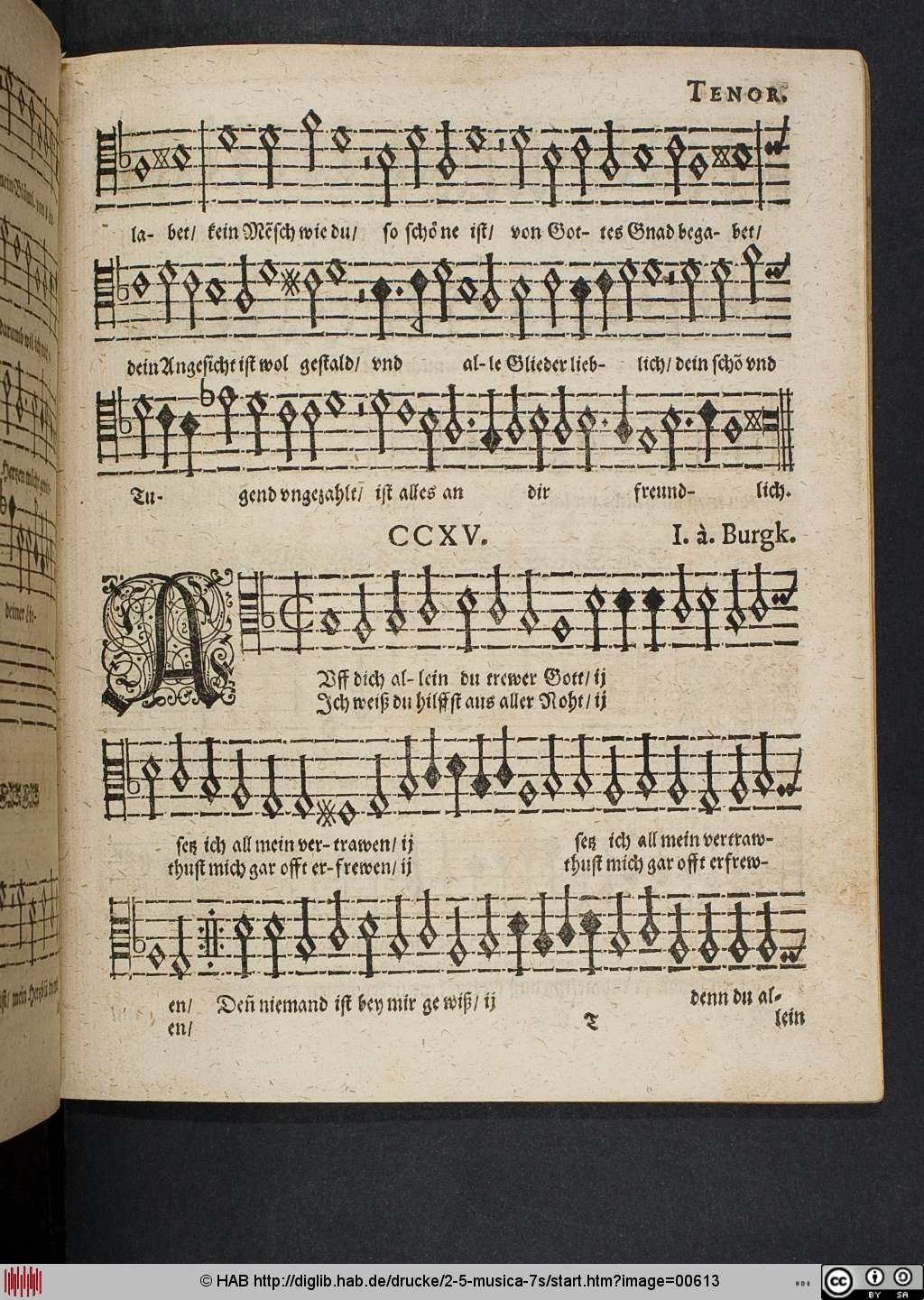 http://diglib.hab.de/drucke/2-5-musica-7s/00613.jpg