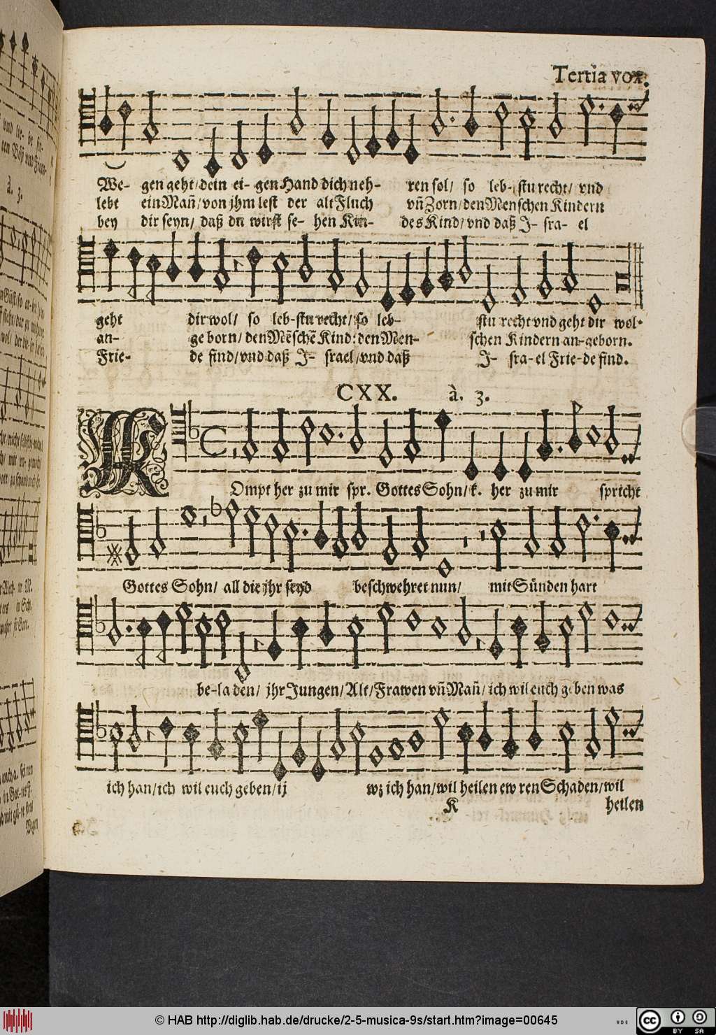 http://diglib.hab.de/drucke/2-5-musica-9s/00645.jpg