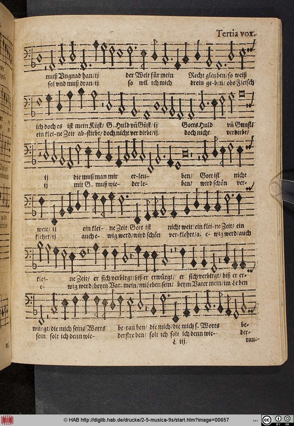 http://diglib.hab.de/drucke/2-5-musica-9s/00657.jpg