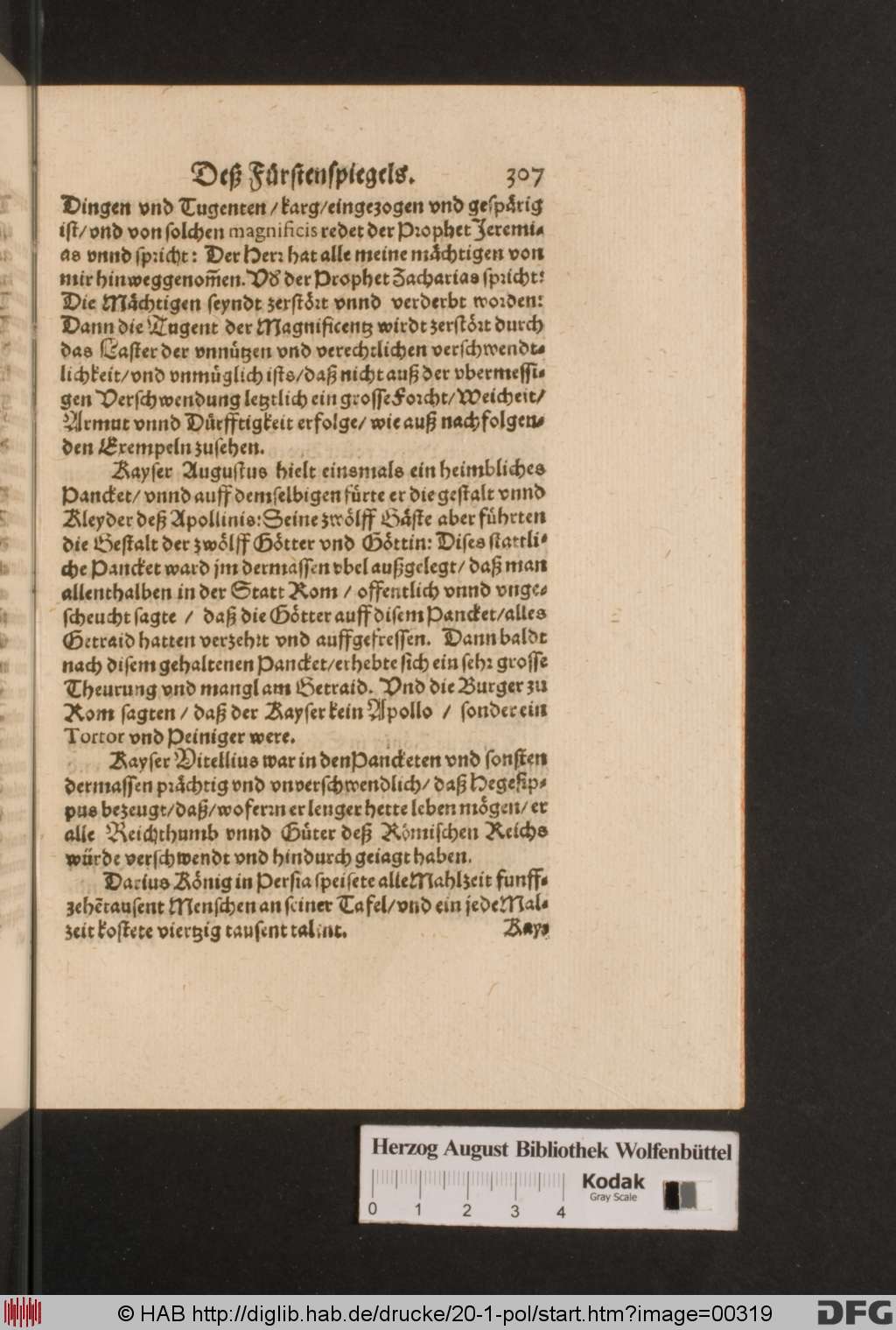 http://diglib.hab.de/drucke/20-1-pol/00319.jpg