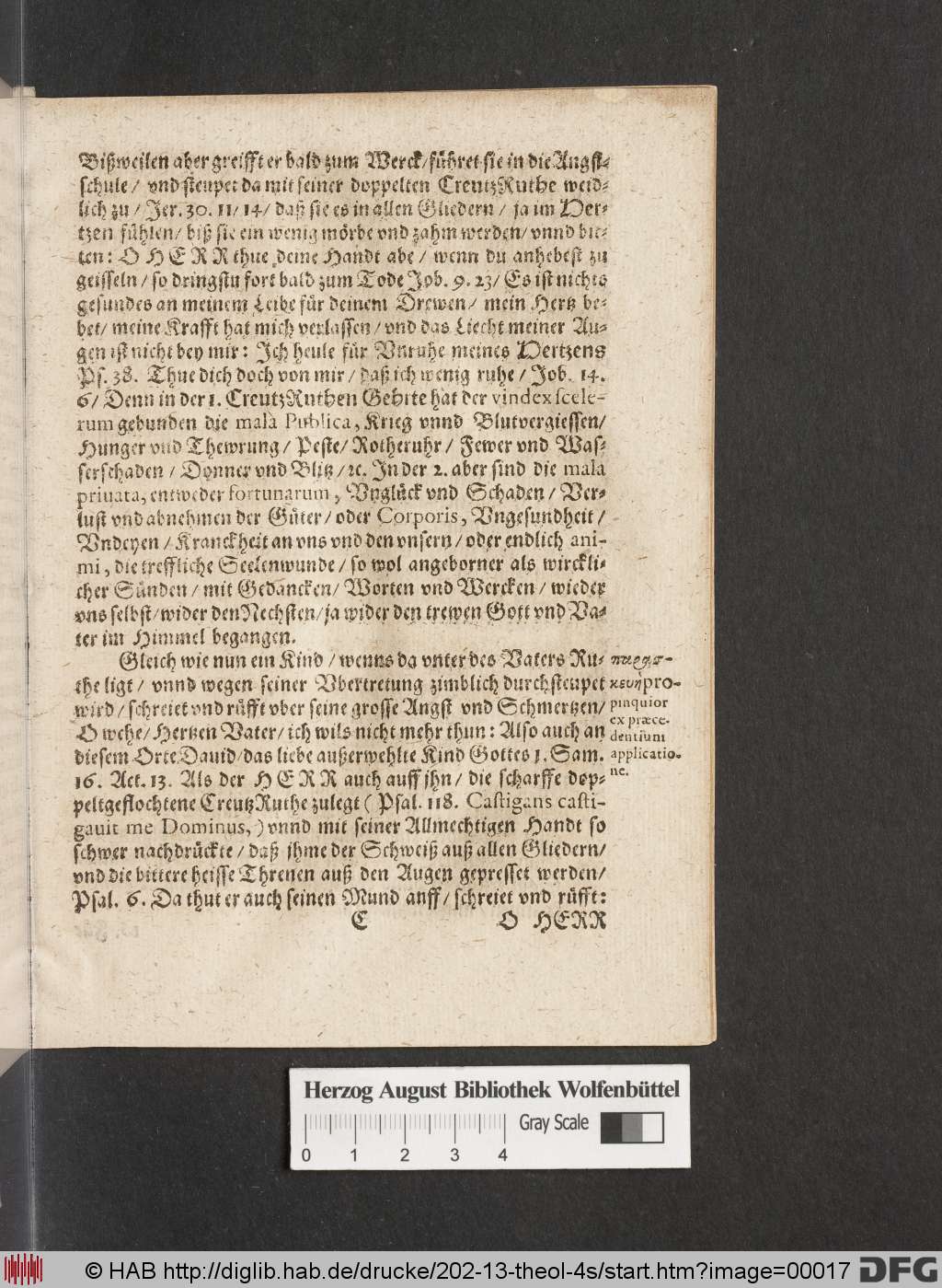 http://diglib.hab.de/drucke/202-13-theol-4s/00017.jpg