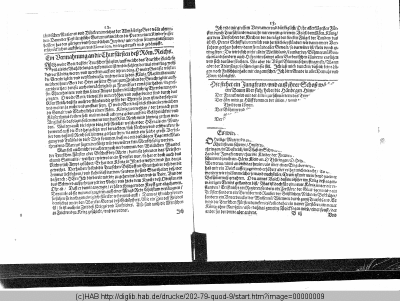 http://diglib.hab.de/drucke/202-79-quod-9/min/00000009.gif