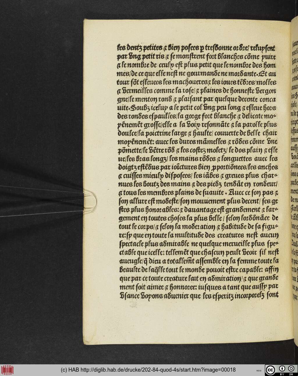 http://diglib.hab.de/drucke/202-84-quod-4s/00018.jpg