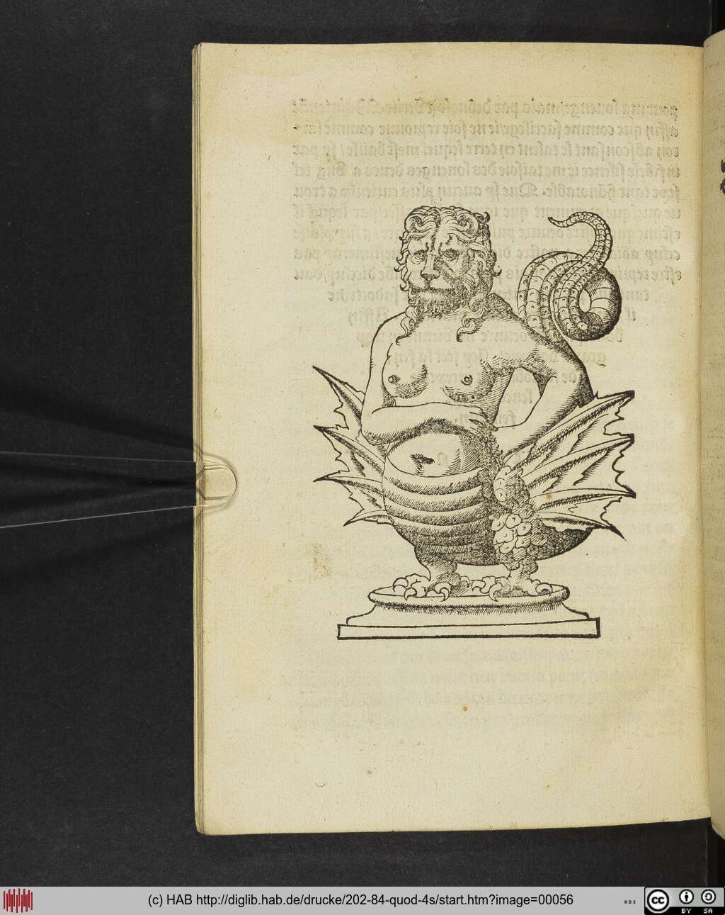 http://diglib.hab.de/drucke/202-84-quod-4s/00056.jpg