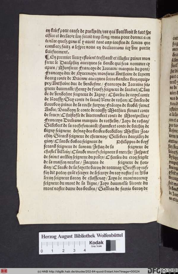 http://diglib.hab.de/drucke/202-84-quod-5/min/00024.jpg