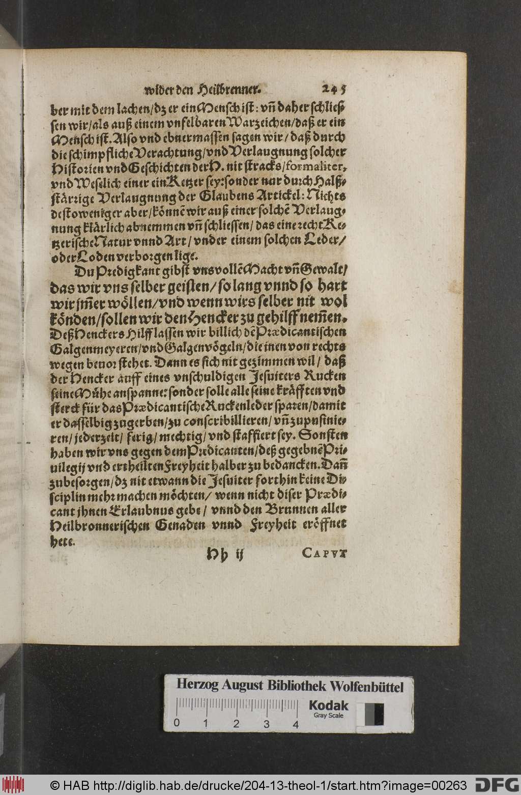 http://diglib.hab.de/drucke/204-13-theol-1/00263.jpg