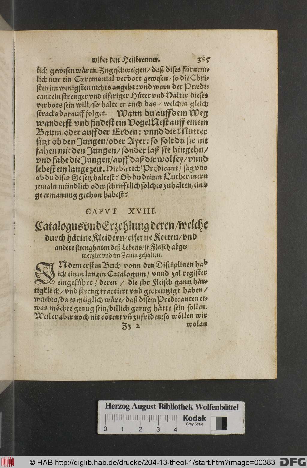 http://diglib.hab.de/drucke/204-13-theol-1/00383.jpg