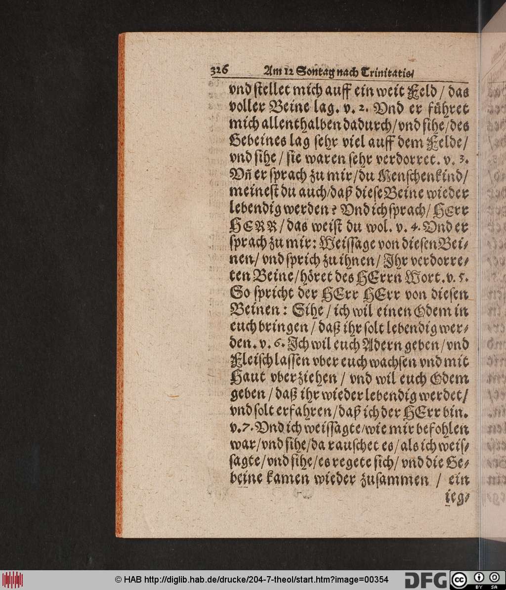 http://diglib.hab.de/drucke/204-7-theol/00354.jpg